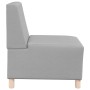 Unidad de Sofá Modular sin Brazos 2 pcs Gris nube