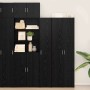 Alacena Roble negro 30 x 42.5 x 185 cm Madera contrachapada