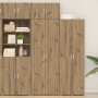 Armario de almacenamiento Roble artisan 70 x 42.5 x 225 cm