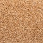 Alfombrillas para escaleras 20 unidades 65x21x4 cm Beige Borde
