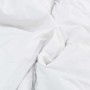 Juego de Edredón con almohada 2 pcs Blanco 135 x 200 cm Plumas