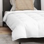 Juego de Edredón con almohada 2 pcs Blanco 140 x 220 cm Plumas