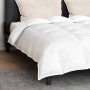 Juego de edredón de invierno con almohada 3 pcs Blanco 260 x