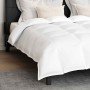 Juego de edredón de invierno con almohada 3 pcs Blanco 240 x