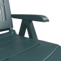 Grüne Plastikliege von vidaXL, Liegen - Ref: Foro24-364706, Preis: 94,72 €, Rabatt: %