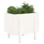 Jardinera de madera maciza de pino blanco 62x50x57 cm de vidaXL, Maceteros y jardineras - Ref: Foro24-825206, Precio: 58,35 €...