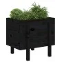 Solid black pine wood planter 62x50x57 cm by vidaXL, Pots and planters - Ref: Foro24-825209, Price: 71,92 €, Discount: %