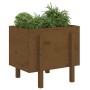 Pflanzgefäß aus massivem Kiefernholz honigbraun 62x50x57 cm von vidaXL, Töpfe und Pflanzgefäße - Ref: Foro24-825208, Preis: 7...