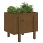 Solid pine wood planter in honey brown color, 62x50x57 cm by vidaXL, Pots and planters - Ref: Foro24-825208, Price: 72,71 €, ...