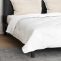Juego de Edredón con almohada 3 pcs 240 x 260 cm Microfibra
