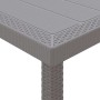 Mesa de Jardín Gris claro 300 x 100 x 73 cm ratán sintético