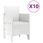Conjunto de Comedor de Jardín 11 pcs Ratán y acero