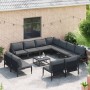Conjunto de sofá de jardín 11 pcs Antracita Acero