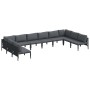 Conjunto de sofá de jardín 10 pcs Antracita Acero