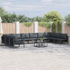Conjunto de sofá de jardín 11 pcs Antracita Acero