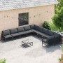 Conjunto de sofá de jardín 10 pcs Antracita Acero
