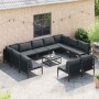 Conjunto de sofá de jardín 11 pcs Antracita Acero