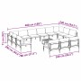 Conjunto de sofá de jardín 14 pcs Antracita Acero