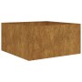 Jardinera de acero corten 80x80x40 cm de vidaXL, Maceteros y jardineras - Ref: Foro24-824531, Precio: 106,94 €, Descuento: %