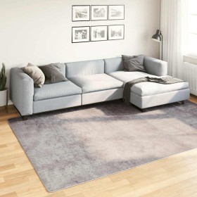 Alfombra lavable antideslizante gris 190x300 cm