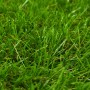 Grüner Kunstrasen 1x10 m/40 mm von vidaXL, Künstliche Flora - Ref: Foro24-318331, Preis: 163,63 €, Rabatt: %