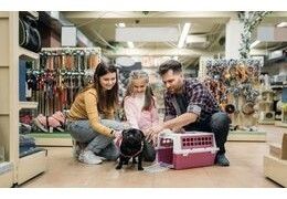 Los Mejores Productos para Mascotas en Foro24.es: Guía Completa