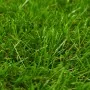 Green artificial grass 1x5 m/40 mm by vidaXL, artificial flora - Ref: Foro24-318329, Price: 80,99 €, Discount: %