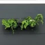 Nature Vertical Garden / Kit for herbs and flowers by Nature, Pots and planters - Ref: Foro24-434648, Price: 27,37 €, Discoun...