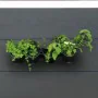 Nature Vertical Garden / Kit für Kräuter und Blumen von Nature, Töpfe und Pflanzgefäße - Ref: Foro24-434648, Preis: 27,37 €, ...