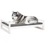 Bett für Hunde aus massiver Kiefer in Weiß 105,5x75,5x28 cm von vidaXL, Betten für Hunde - Ref: Foro24-821488, Preis: 79,27 €...