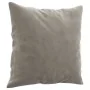 Cojines decorativos 2 uds terciopelo gris claro 40x40 cm de vidaXL, Cojines - Ref: Foro24-349485, Precio: 15,19 €, Descuento: %