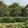 Wire fence with anthracite grey tie 1.6x25 m by vidaXL, fence panels - Ref: Foro24-154300, Price: 146,94 €, Discount: %