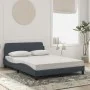 Bett mit dunkelgrauer Samtmatratze 120x200 cm von vidaXL, Betten und Lattenroste - Ref: Foro24-3208372, Preis: 295,72 €, Raba...