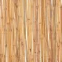 Valla de bambú 500x30 cm de vidaXL, Paneles de vallas - Ref: Foro24-142681, Precio: 65,26 €, Descuento: %