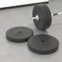 Weight plates 2 pcs 30 kg cement by vidaXL, free weight - Ref: Foro24-93598, Price: 89,08 €, Discount: %