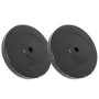 Discos de pesas 2 uds 30 kg cemento de vidaXL, Peso libre - Ref: Foro24-93598, Precio: 86,68 €, Descuento: %