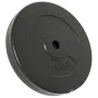 Discos de pesas 2 uds 30 kg cemento de vidaXL, Peso libre - Ref: Foro24-93598, Precio: 86,68 €, Descuento: %