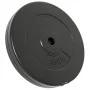 Hantelscheiben 2 Stück 30 kg Zement von vidaXL, freies Gewicht - Ref: Foro24-93598, Preis: 89,08 €, Rabatt: %