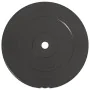 Discos de pesas 2 uds 30 kg cemento de vidaXL, Peso libre - Ref: Foro24-93598, Precio: 86,68 €, Descuento: %