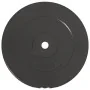 Weight plates 2 pcs 30 kg cement by vidaXL, free weight - Ref: Foro24-93598, Price: 89,08 €, Discount: %