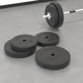 Hantelscheiben 4 Stück Zement 30 kg von vidaXL, freies Gewicht - Ref: Foro24-93597, Preis: 59,08 €, Rabatt: %