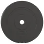 Placas de pesas 4 uds cemento 30 kg de vidaXL, Peso libre - Ref: Foro24-93597, Precio: 64,30 €, Descuento: %