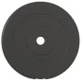 Placas de pesas 4 uds cemento 30 kg de vidaXL, Peso libre - Ref: Foro24-93597, Precio: 64,30 €, Descuento: %