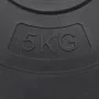 Hantelscheiben 4 Stück Zement 30 kg von vidaXL, freies Gewicht - Ref: Foro24-93597, Preis: 79,21 €, Rabatt: %