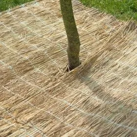 Nature Reisstroh-Schutzhülle für den Winter 1x1,5 m 6030105 von Nature, Gartenzubehör - Ref: Foro24-407098, Preis: 32,60 €, R...