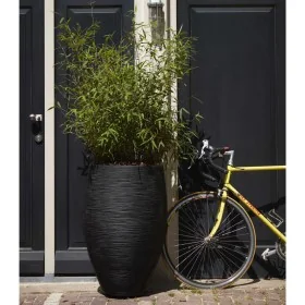 Capi Jarrón Nature Rib elegante Deluxe negro 45x72 cm by , Pots and planters - Ref: Foro24-434834, Price: 189,44 €, Discount: %
