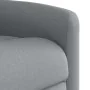 Sillón reclinable de tela gris claro by , Armchairs - Ref: Foro24-4015576, Price: 187,02 €, Discount: %
