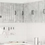 Mueble esquinero cocina Lucca madera contrachapada gris cemento von , Küchenschränke - Ref: Foro24-853861, Preis: 80,59 €, Ra...