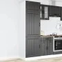 Mueble de cocina Lucca de madera contrachapada negro de , Armarios de cocina - Ref: Foro24-853868, Precio: 198,75 €, Descuent...