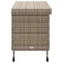 Caja almacenaje jardín ruedas ratán sintético gris 110x55x73cm de , Cajas de almacenaje para exteriores - Ref: Foro24-4103828...